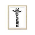 Picture of Long Neck II _GroupedProduct_Rectangle_Portrait_Photography _GroupedProduct_Rectangle_Portrait_Framed_Matted_