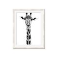 Picture of Long Neck II _GroupedProduct_Rectangle_Portrait_Photography _GroupedProduct_Rectangle_Portrait_Framed_Matted_