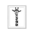 Picture of Long Neck II _GroupedProduct_Rectangle_Portrait_Photography _GroupedProduct_Rectangle_Portrait_Framed_Matted_
