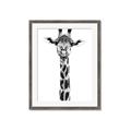 Picture of Long Neck II _GroupedProduct_Rectangle_Portrait_Photography _GroupedProduct_Rectangle_Portrait_Framed_Matted_
