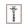 Picture of Long Neck II _GroupedProduct_Rectangle_Portrait_Photography _GroupedProduct_Rectangle_Portrait_Framed_Matted_