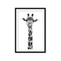 Picture of Long Neck II _GroupedProduct_Rectangle_Portrait_Photography _GroupedProduct_Rectangle_Portrait_Framed_Matted_