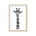 Picture of Long Neck II _GroupedProduct_Rectangle_Portrait_Photography _GroupedProduct_Rectangle_Portrait_Framed_Matted_