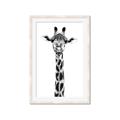 Picture of Long Neck II _GroupedProduct_Rectangle_Portrait_Photography _GroupedProduct_Rectangle_Portrait_Framed_Matted_