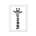 Picture of Long Neck II _GroupedProduct_Rectangle_Portrait_Photography _GroupedProduct_Rectangle_Portrait_Framed_Matted_