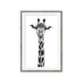 Picture of Long Neck II _GroupedProduct_Rectangle_Portrait_Photography _GroupedProduct_Rectangle_Portrait_Framed_Matted_