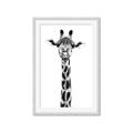 Picture of Long Neck II _GroupedProduct_Rectangle_Portrait_Photography _GroupedProduct_Rectangle_Portrait_Framed_Matted_