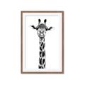 Picture of Long Neck II _GroupedProduct_Rectangle_Portrait_Photography _GroupedProduct_Rectangle_Portrait_Framed_Matted_