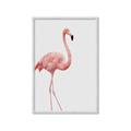 Picture of Pinkfully Perfect  _GroupedProduct_Rectangle_Portrait_Photography _GroupedProduct_Rectangle_Portrait_Framed_Matted_