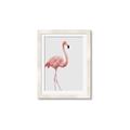 Picture of Pinkfully Perfect  _GroupedProduct_Rectangle_Portrait_Photography _GroupedProduct_Rectangle_Portrait_Framed_Matted_