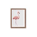 Picture of Pinkfully Perfect  _GroupedProduct_Rectangle_Portrait_Photography _GroupedProduct_Rectangle_Portrait_Framed_Matted_