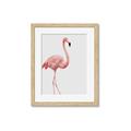 Picture of Pinkfully Perfect  _GroupedProduct_Rectangle_Portrait_Photography _GroupedProduct_Rectangle_Portrait_Framed_Matted_