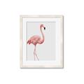Picture of Pinkfully Perfect  _GroupedProduct_Rectangle_Portrait_Photography _GroupedProduct_Rectangle_Portrait_Framed_Matted_