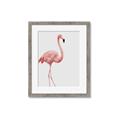 Picture of Pinkfully Perfect  _GroupedProduct_Rectangle_Portrait_Photography _GroupedProduct_Rectangle_Portrait_Framed_Matted_