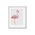 Picture of Pinkfully Perfect  _GroupedProduct_Rectangle_Portrait_Photography _GroupedProduct_Rectangle_Portrait_Framed_Matted_