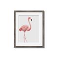 Picture of Pinkfully Perfect  _GroupedProduct_Rectangle_Portrait_Photography _GroupedProduct_Rectangle_Portrait_Framed_Matted_
