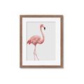 Picture of Pinkfully Perfect  _GroupedProduct_Rectangle_Portrait_Photography _GroupedProduct_Rectangle_Portrait_Framed_Matted_