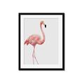 Picture of Pinkfully Perfect  _GroupedProduct_Rectangle_Portrait_Photography _GroupedProduct_Rectangle_Portrait_Framed_Matted_