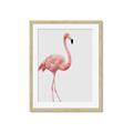 Picture of Pinkfully Perfect  _GroupedProduct_Rectangle_Portrait_Photography _GroupedProduct_Rectangle_Portrait_Framed_Matted_