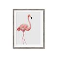 Picture of Pinkfully Perfect  _GroupedProduct_Rectangle_Portrait_Photography _GroupedProduct_Rectangle_Portrait_Framed_Matted_