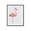 Picture of Pinkfully Perfect  _GroupedProduct_Rectangle_Portrait_Photography _GroupedProduct_Rectangle_Portrait_Framed_Matted_