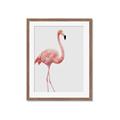 Picture of Pinkfully Perfect  _GroupedProduct_Rectangle_Portrait_Photography _GroupedProduct_Rectangle_Portrait_Framed_Matted_