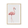 Picture of Pinkfully Perfect  _GroupedProduct_Rectangle_Portrait_Photography _GroupedProduct_Rectangle_Portrait_Framed_Matted_