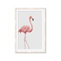 Picture of Pinkfully Perfect  _GroupedProduct_Rectangle_Portrait_Photography _GroupedProduct_Rectangle_Portrait_Framed_Matted_