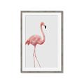 Picture of Pinkfully Perfect  _GroupedProduct_Rectangle_Portrait_Photography _GroupedProduct_Rectangle_Portrait_Framed_Matted_