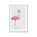 Picture of Pinkfully Perfect  _GroupedProduct_Rectangle_Portrait_Photography _GroupedProduct_Rectangle_Portrait_Framed_Matted_
