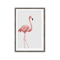 Picture of Pinkfully Perfect  _GroupedProduct_Rectangle_Portrait_Photography _GroupedProduct_Rectangle_Portrait_Framed_Matted_