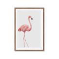 Picture of Pinkfully Perfect  _GroupedProduct_Rectangle_Portrait_Photography _GroupedProduct_Rectangle_Portrait_Framed_Matted_