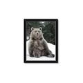 Picture of Snowy Bear _GroupedProduct_Rectangle_Portrait_Photography _GroupedProduct_Rectangle_Portrait_Framed_Matted_