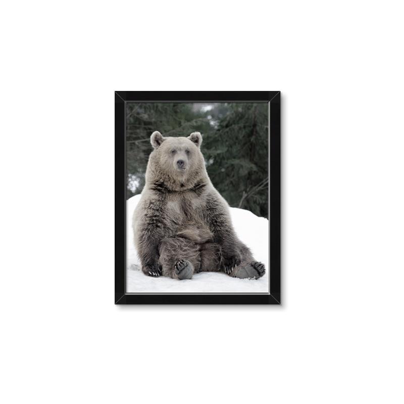 Picture of Snowy Bear _GroupedProduct_Rectangle_Portrait_Photography _GroupedProduct_Rectangle_Portrait_Framed_Matted_