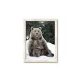 Picture of Snowy Bear _GroupedProduct_Rectangle_Portrait_Photography _GroupedProduct_Rectangle_Portrait_Framed_Matted_