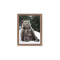 Picture of Snowy Bear _GroupedProduct_Rectangle_Portrait_Photography _GroupedProduct_Rectangle_Portrait_Framed_Matted_