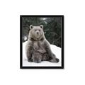 Picture of Snowy Bear _GroupedProduct_Rectangle_Portrait_Photography _GroupedProduct_Rectangle_Portrait_Framed_Matted_