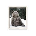 Picture of Snowy Bear _GroupedProduct_Rectangle_Portrait_Photography _GroupedProduct_Rectangle_Portrait_Framed_Matted_