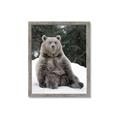 Picture of Snowy Bear _GroupedProduct_Rectangle_Portrait_Photography _GroupedProduct_Rectangle_Portrait_Framed_Matted_