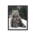 Picture of Snowy Bear _GroupedProduct_Rectangle_Portrait_Photography _GroupedProduct_Rectangle_Portrait_Framed_Matted_
