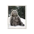 Picture of Snowy Bear _GroupedProduct_Rectangle_Portrait_Photography _GroupedProduct_Rectangle_Portrait_Framed_Matted_