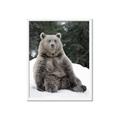 Picture of Snowy Bear _GroupedProduct_Rectangle_Portrait_Photography _GroupedProduct_Rectangle_Portrait_Framed_Matted_