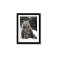 Picture of Snowy Bear _GroupedProduct_Rectangle_Portrait_Photography _GroupedProduct_Rectangle_Portrait_Framed_Matted_