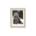 Picture of Snowy Bear _GroupedProduct_Rectangle_Portrait_Photography _GroupedProduct_Rectangle_Portrait_Framed_Matted_