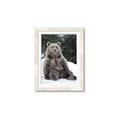 Picture of Snowy Bear _GroupedProduct_Rectangle_Portrait_Photography _GroupedProduct_Rectangle_Portrait_Framed_Matted_