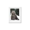 Picture of Snowy Bear _GroupedProduct_Rectangle_Portrait_Photography _GroupedProduct_Rectangle_Portrait_Framed_Matted_