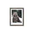 Picture of Snowy Bear _GroupedProduct_Rectangle_Portrait_Photography _GroupedProduct_Rectangle_Portrait_Framed_Matted_