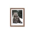 Picture of Snowy Bear _GroupedProduct_Rectangle_Portrait_Photography _GroupedProduct_Rectangle_Portrait_Framed_Matted_