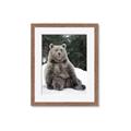 Picture of Snowy Bear _GroupedProduct_Rectangle_Portrait_Photography _GroupedProduct_Rectangle_Portrait_Framed_Matted_