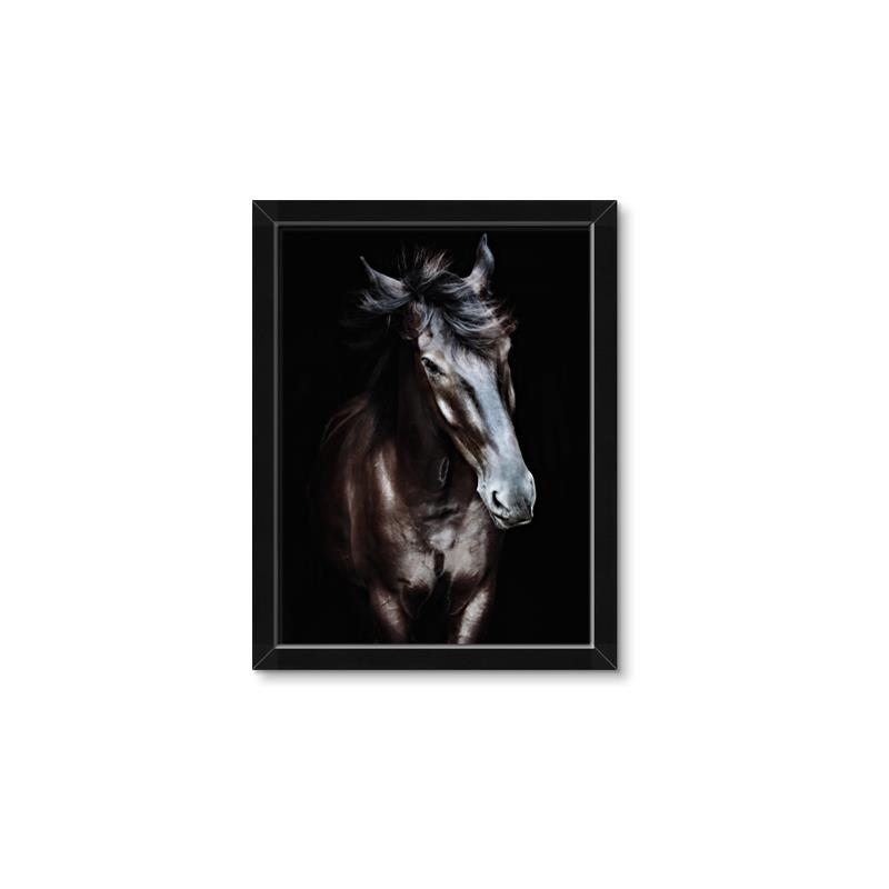 Picture of Stallion _GroupedProduct_Rectangle_Portrait_Photography _GroupedProduct_Rectangle_Portrait_Framed_Matted_